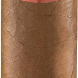 Сигары Casa Turrent 1880 Claro Doble Robusto